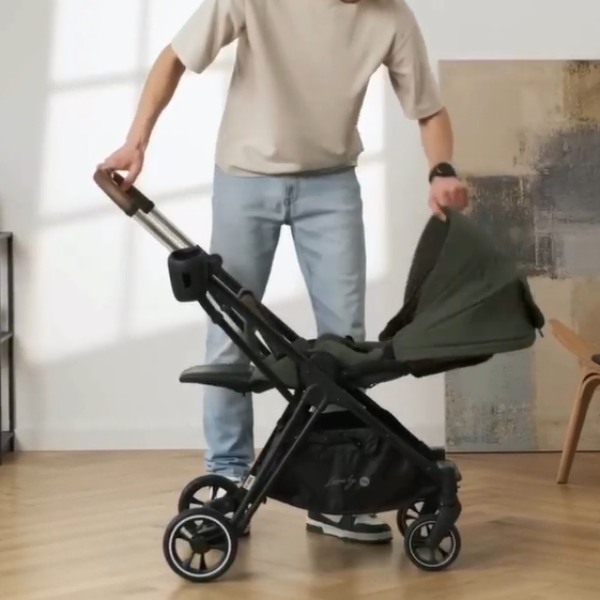 Коляска case-208