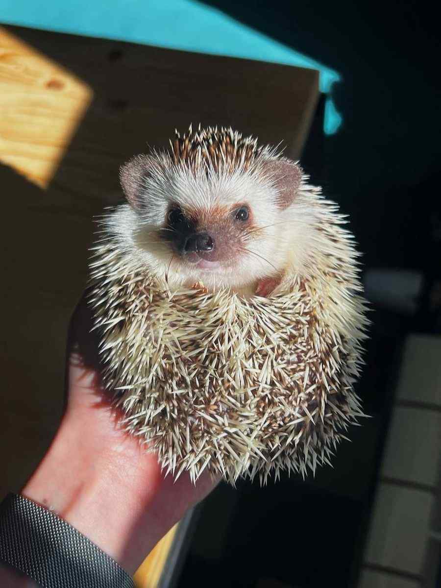  #