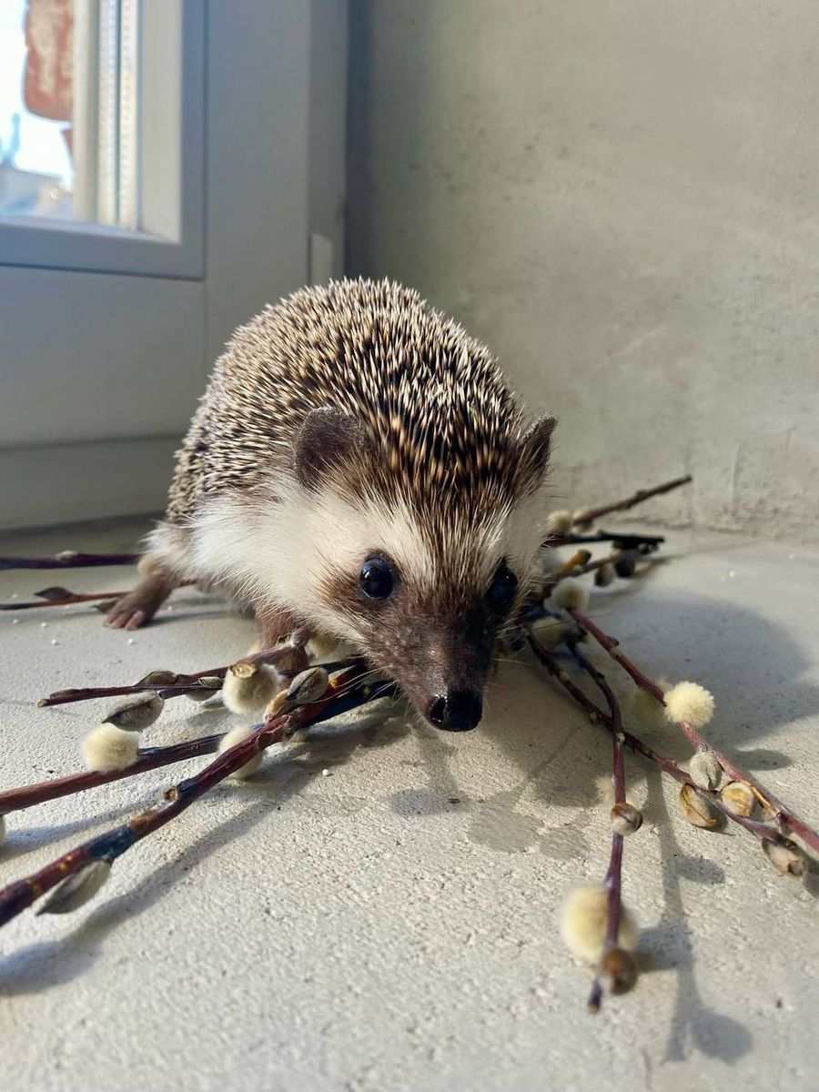  #